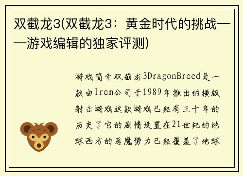 双截龙3(双截龙3：黄金时代的挑战——游戏编辑的独家评测)