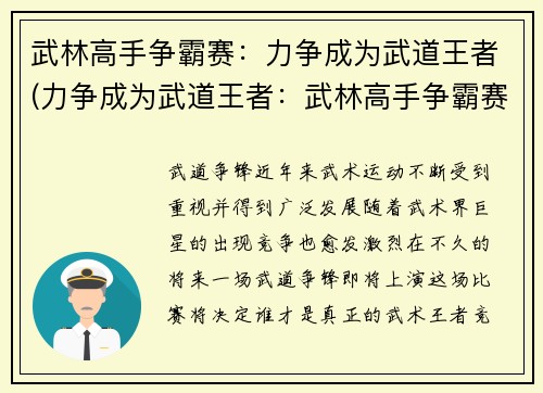 武林高手争霸赛：力争成为武道王者(力争成为武道王者：武林高手争霸赛续写)